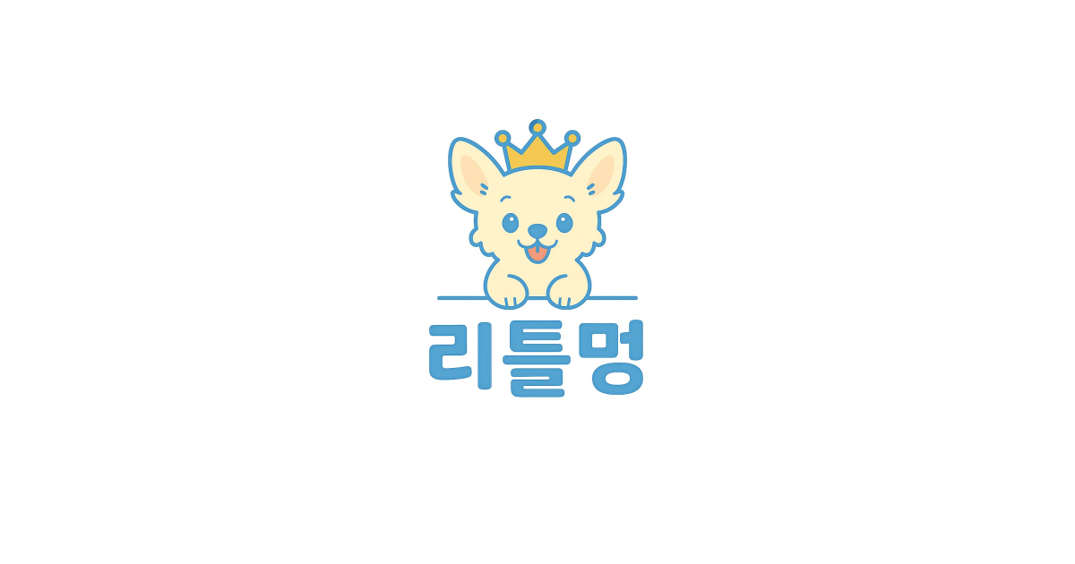 공유 카드