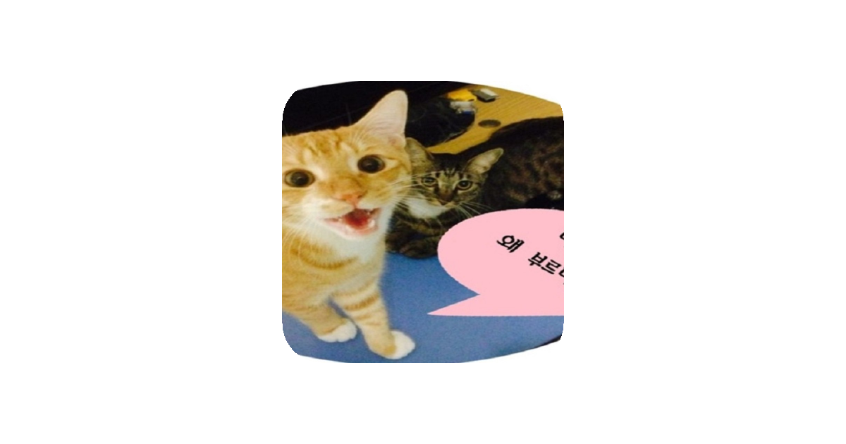 공유 카드