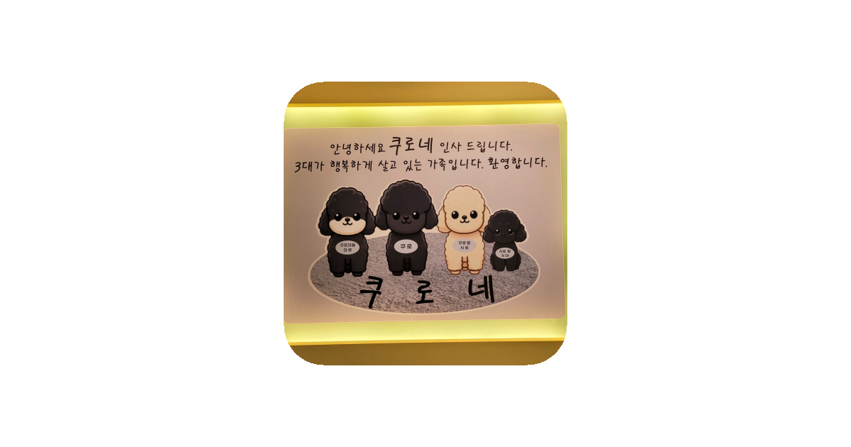 공유 카드