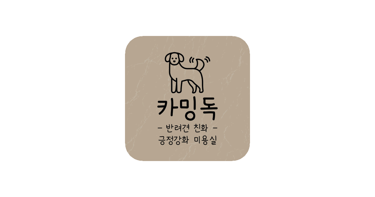 공유 카드