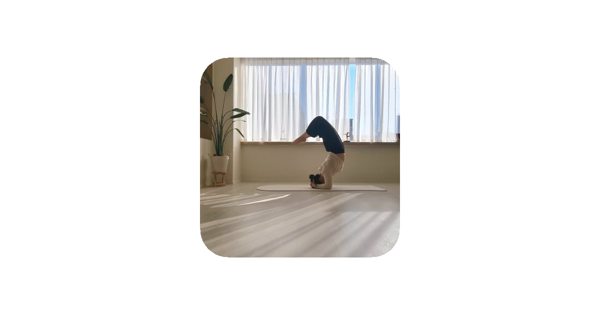 공유 카드