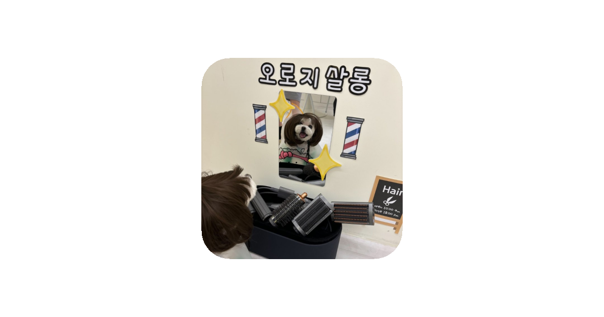 공유 카드