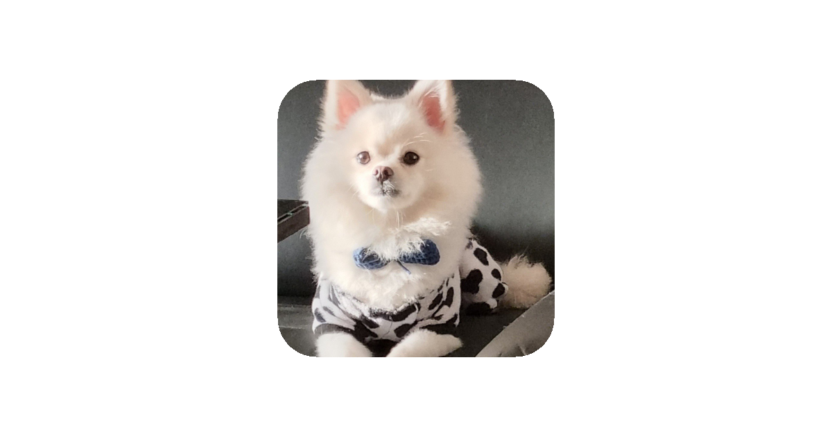 공유 카드