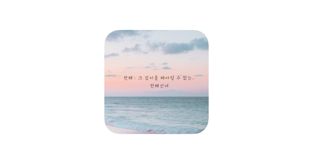 공유 카드