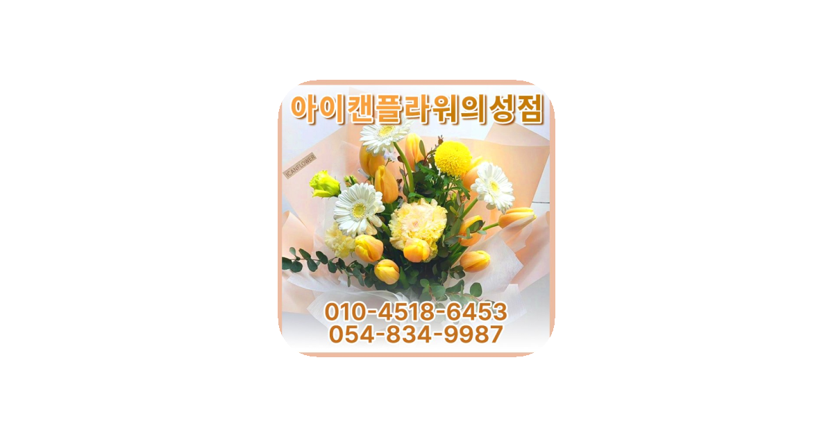 공유 카드