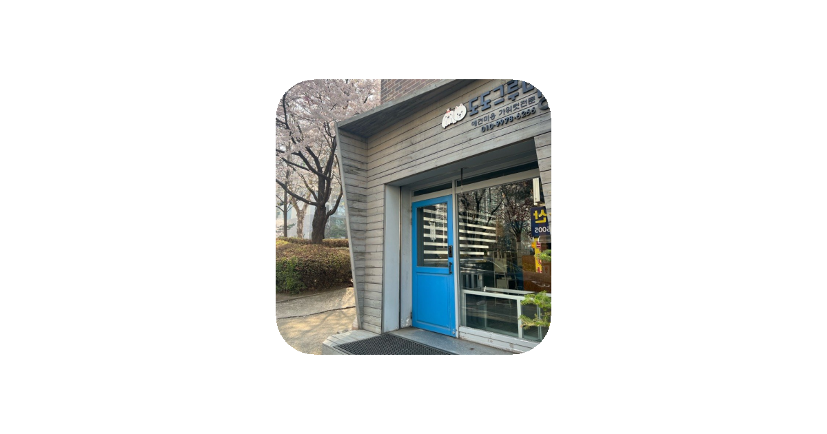 공유 카드