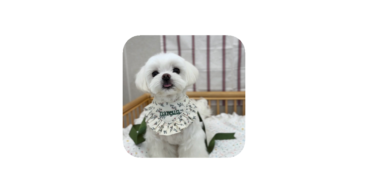 공유 카드