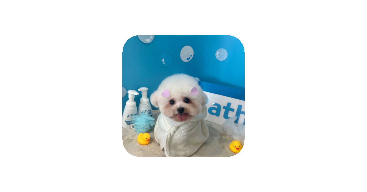 공유 카드