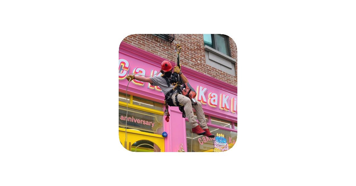 공유 카드