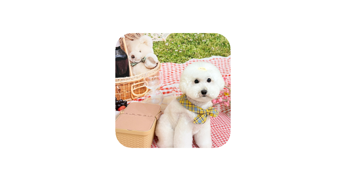 공유 카드