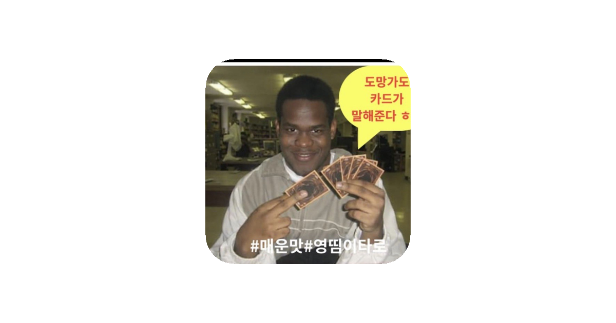 공유 카드