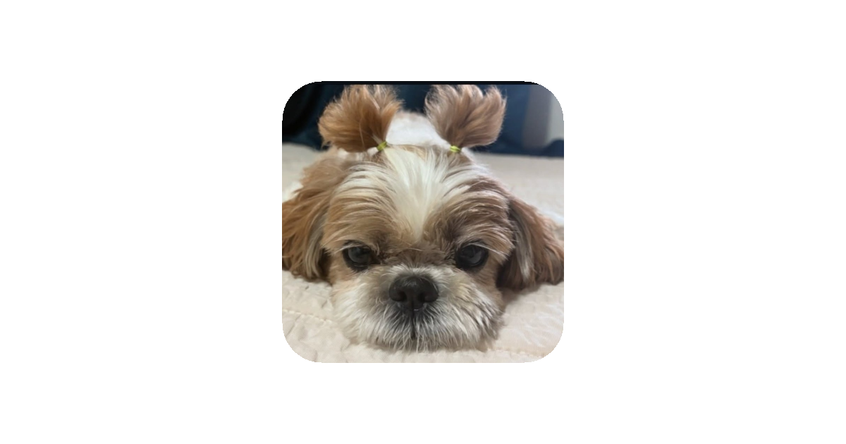 공유 카드