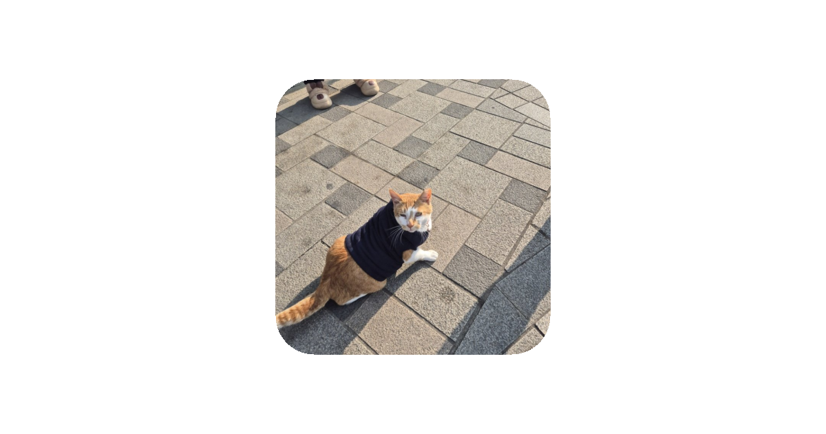 공유 카드