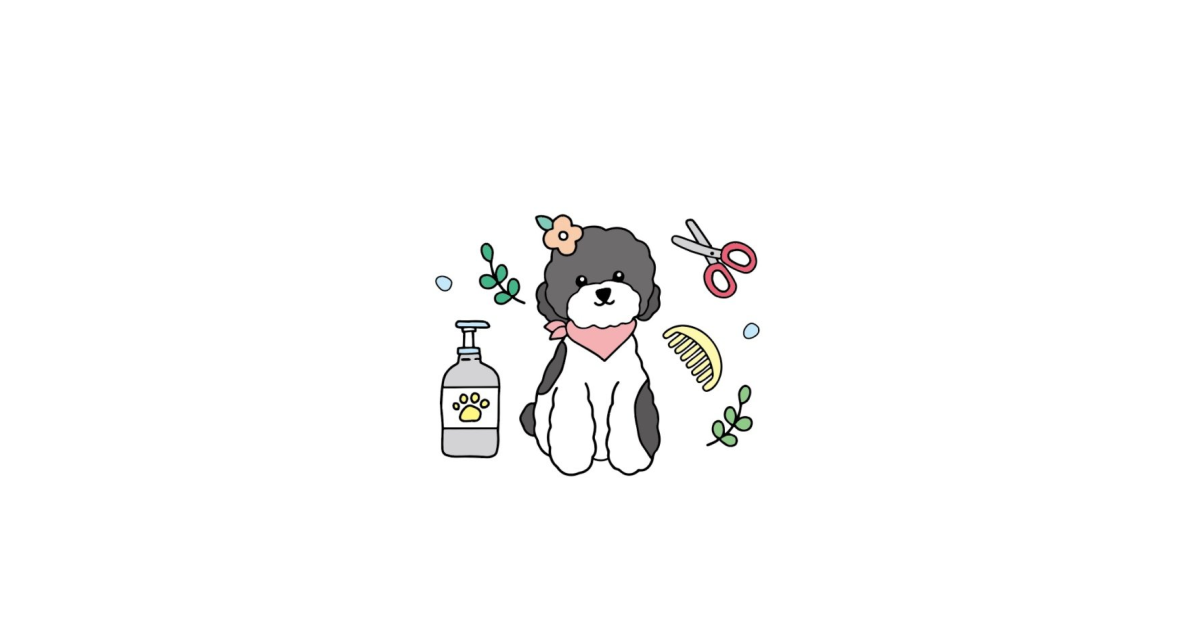 공유 카드