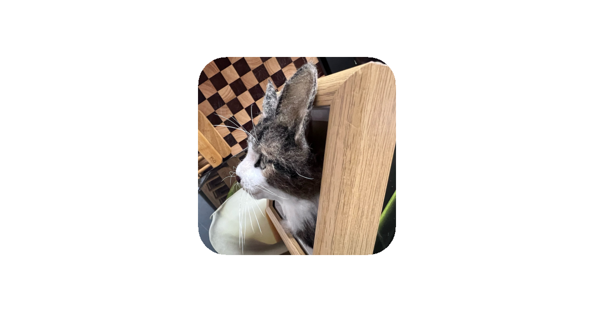 공유 카드