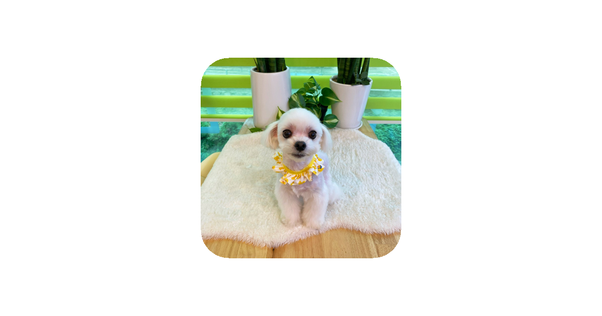공유 카드