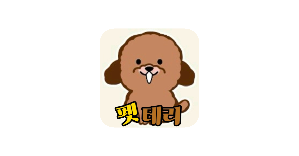 공유 카드