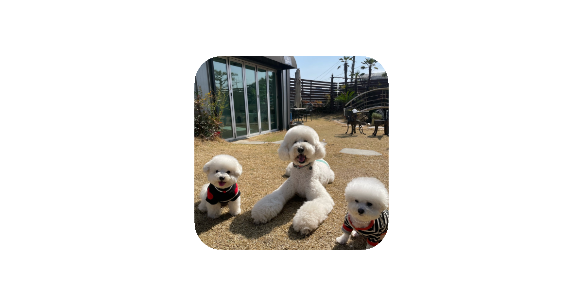 공유 카드