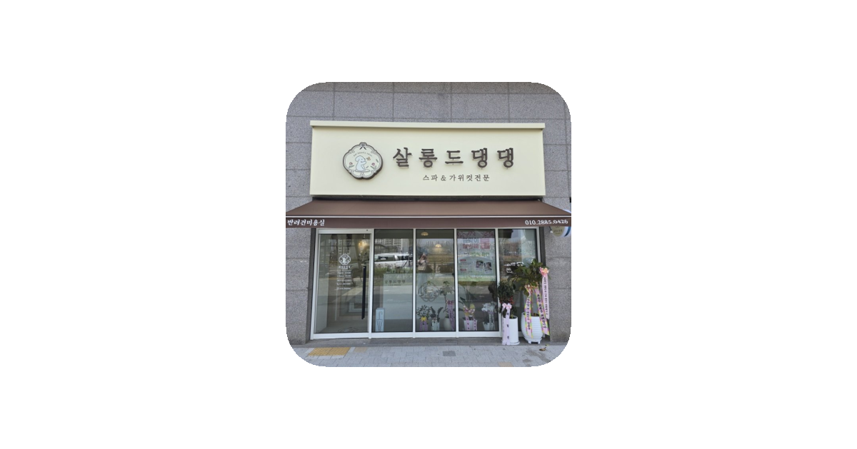 공유 카드