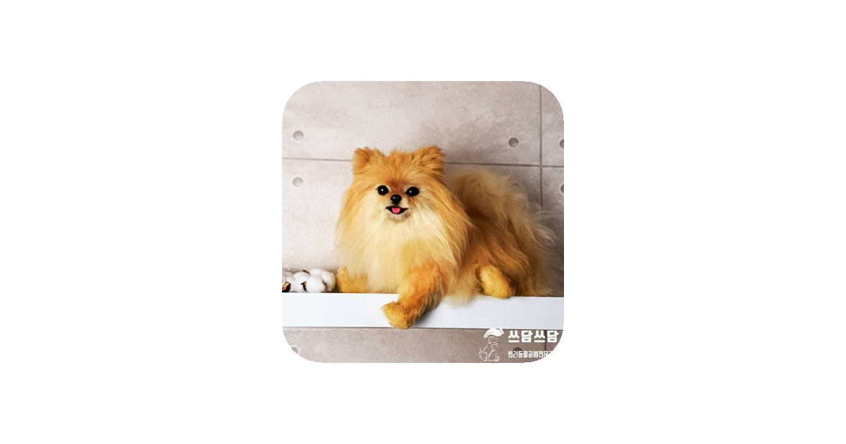 공유 카드