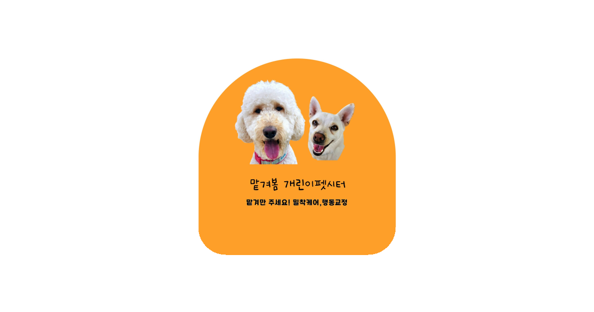 공유 카드