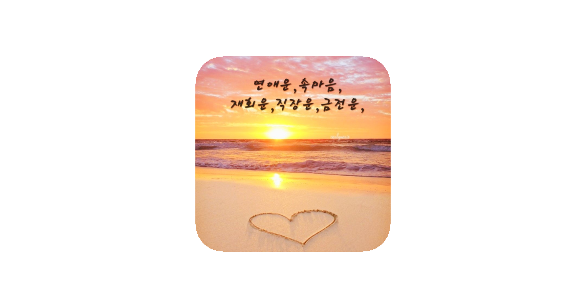 공유 카드
