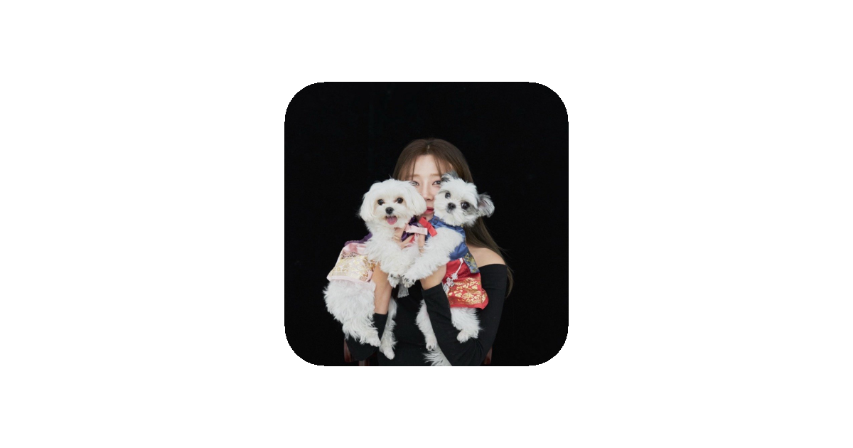 공유 카드