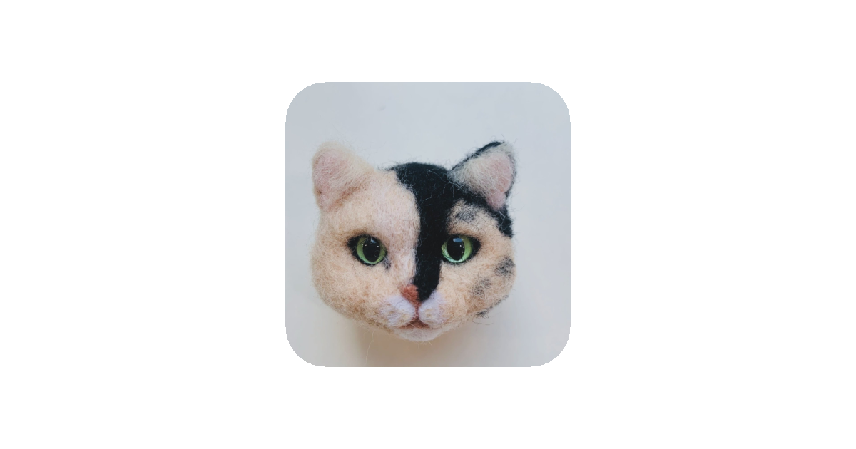 공유 카드