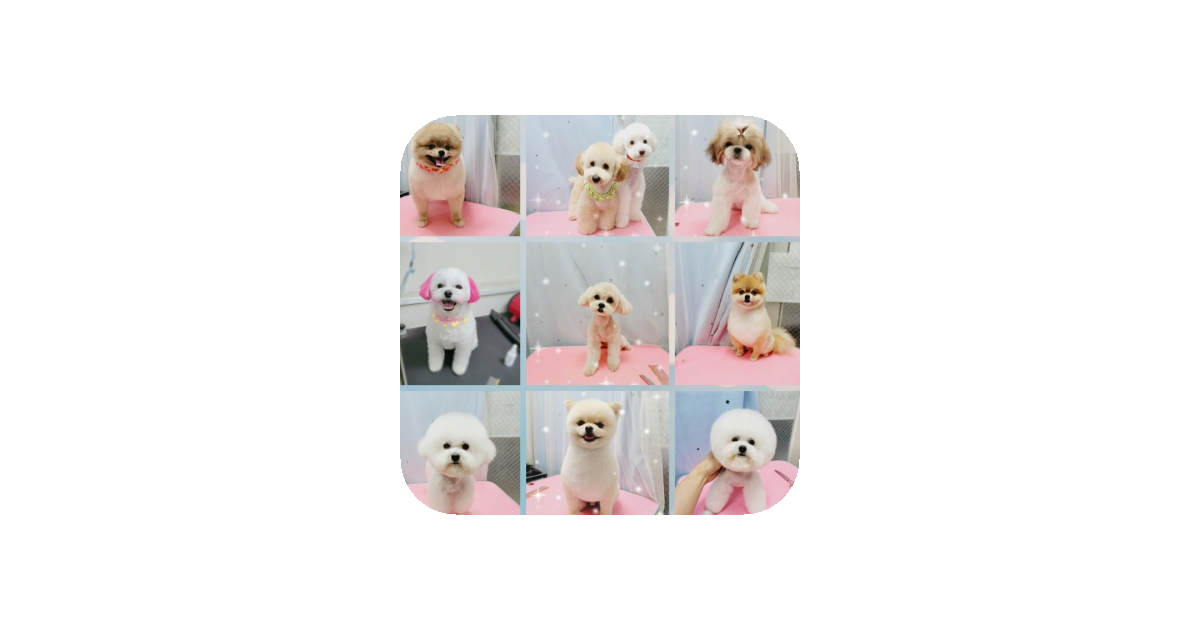 공유 카드