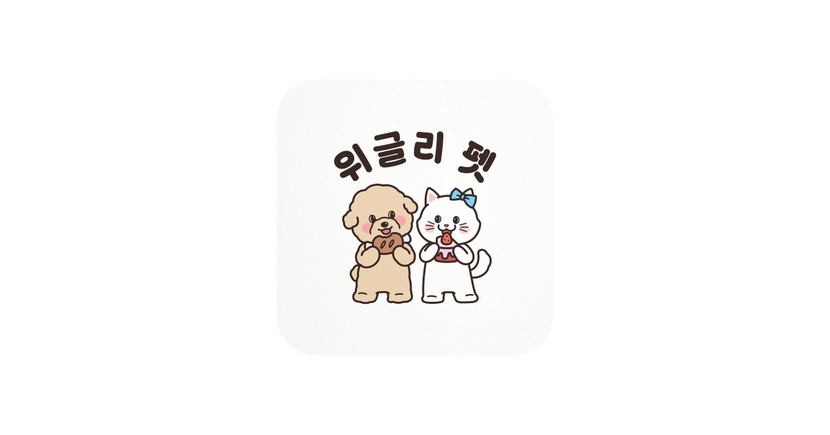 공유 카드
