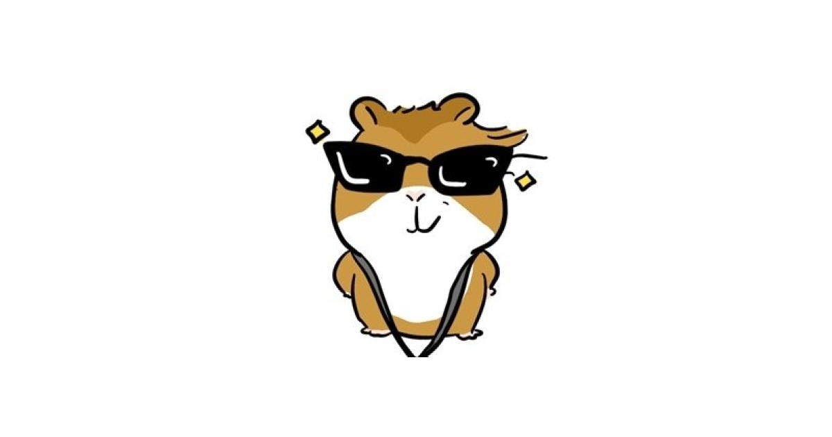 공유 카드
