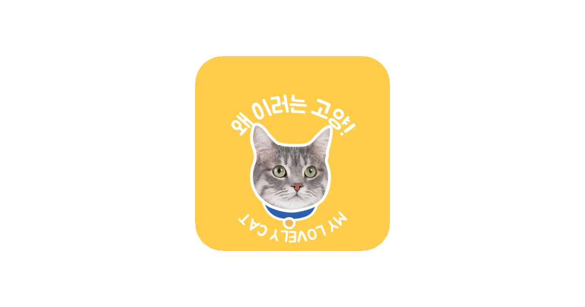 공유 카드