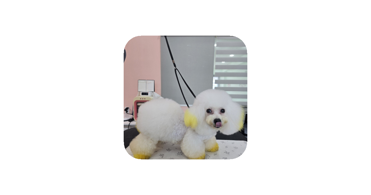 공유 카드