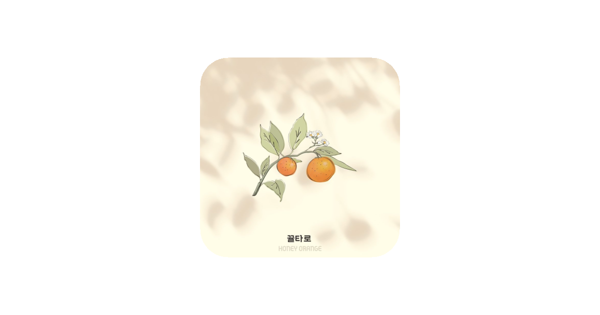 공유 카드