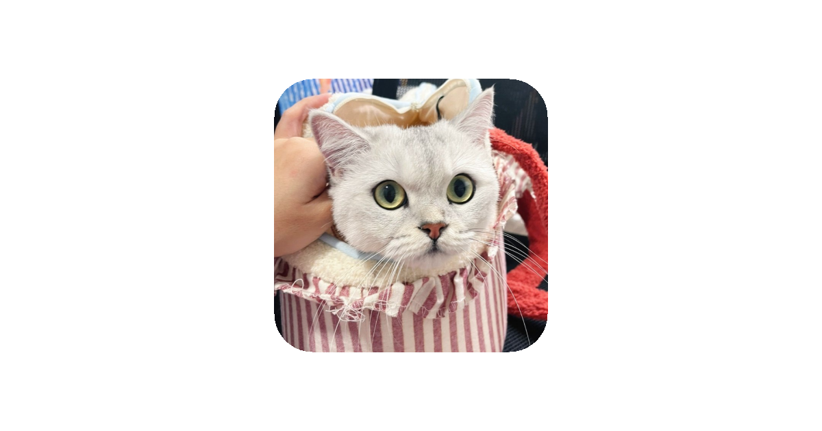 공유 카드