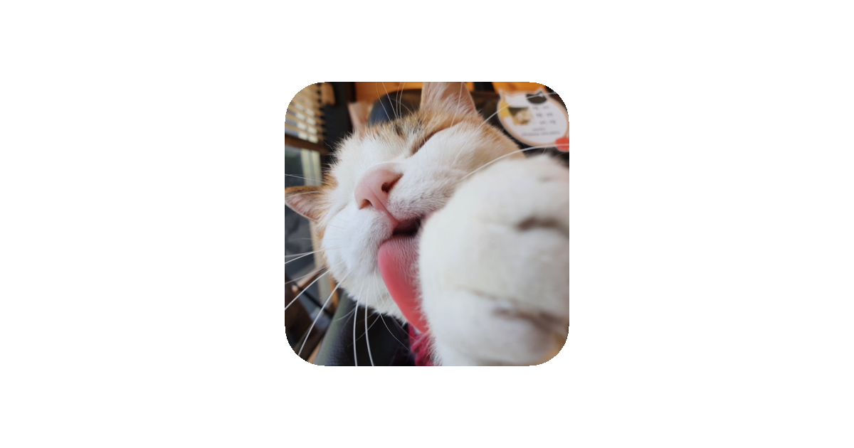 공유 카드