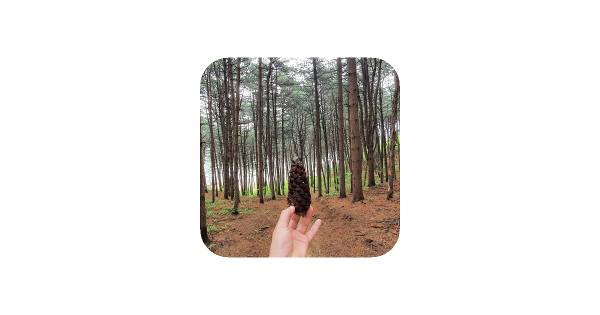 공유 카드