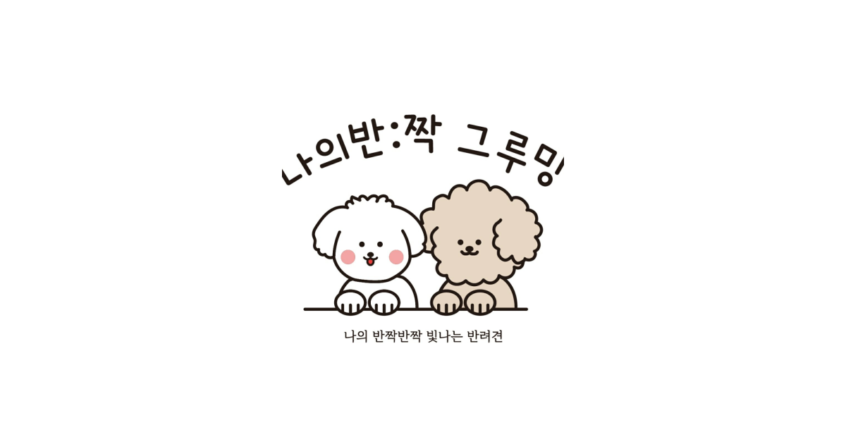 공유 카드