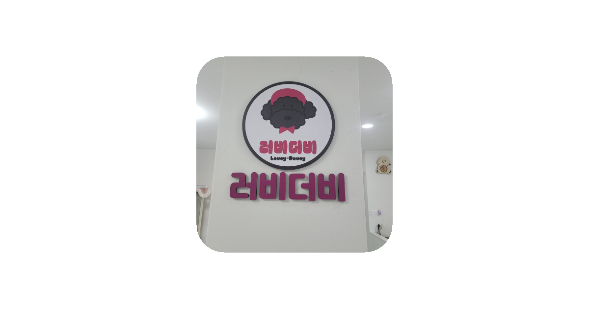 공유 카드