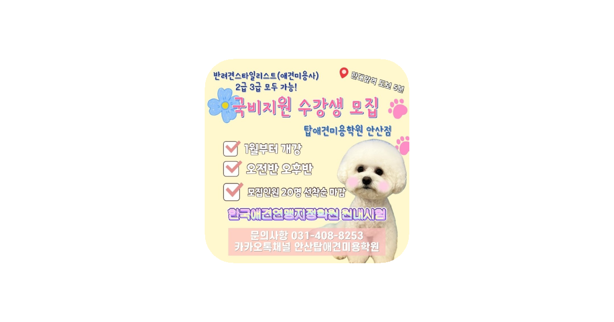 공유 카드