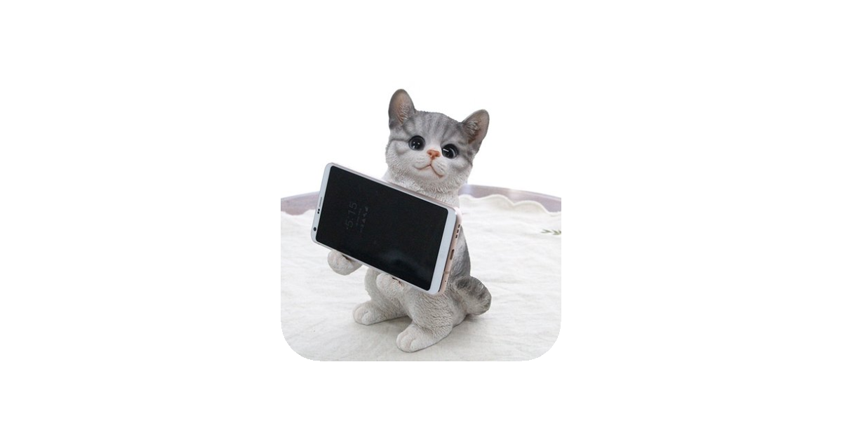 공유 카드