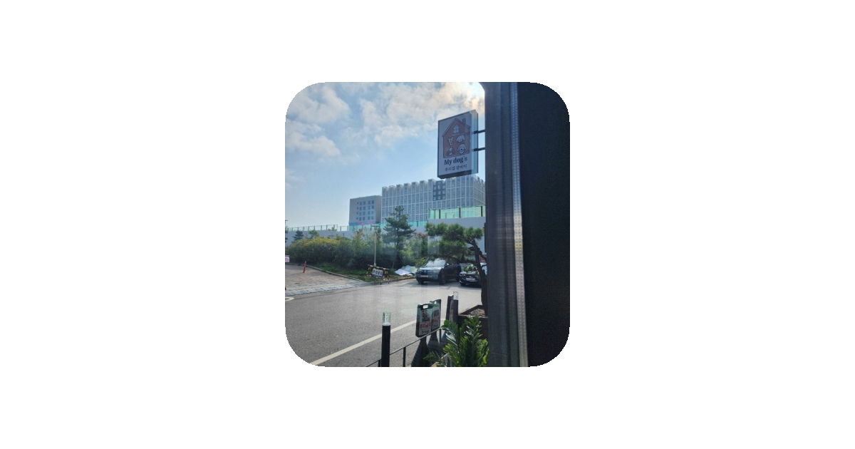 공유 카드