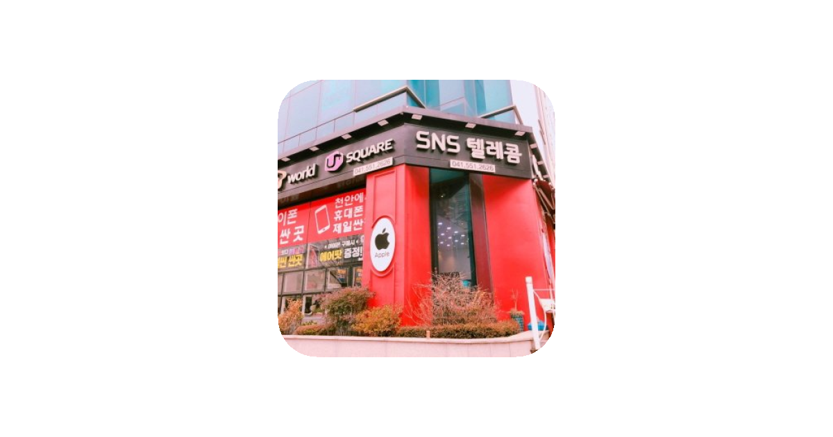 공유 카드