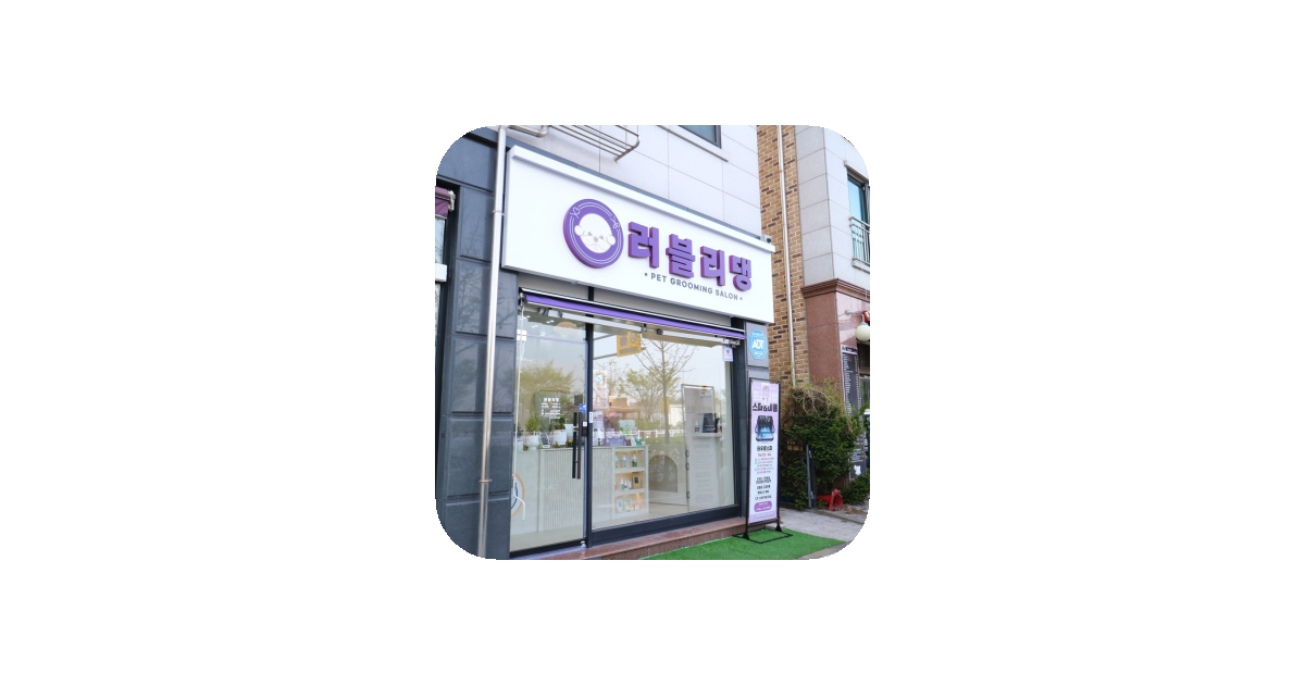 공유 카드