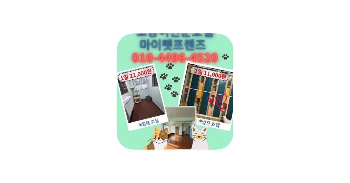 공유 카드
