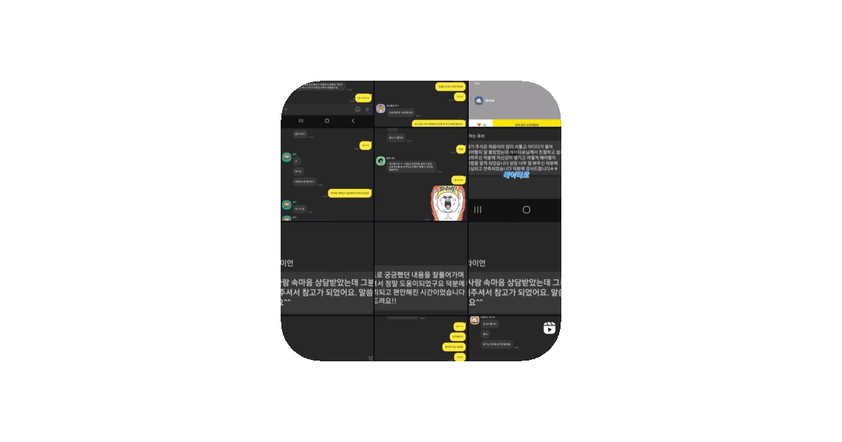 공유 카드