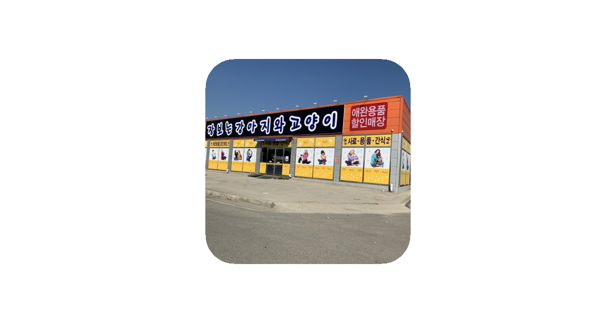 공유 카드