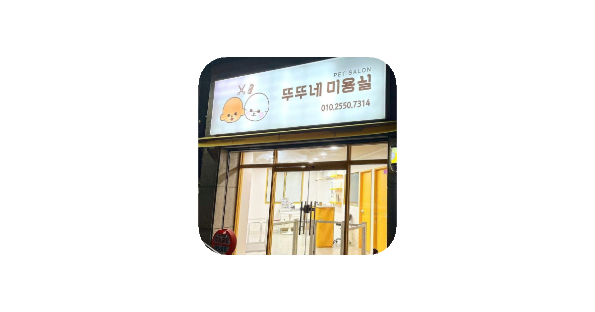 공유 카드