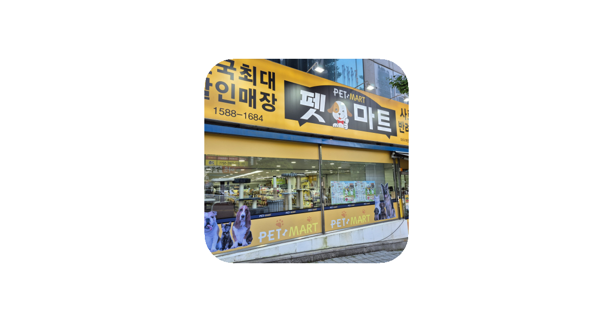 공유 카드