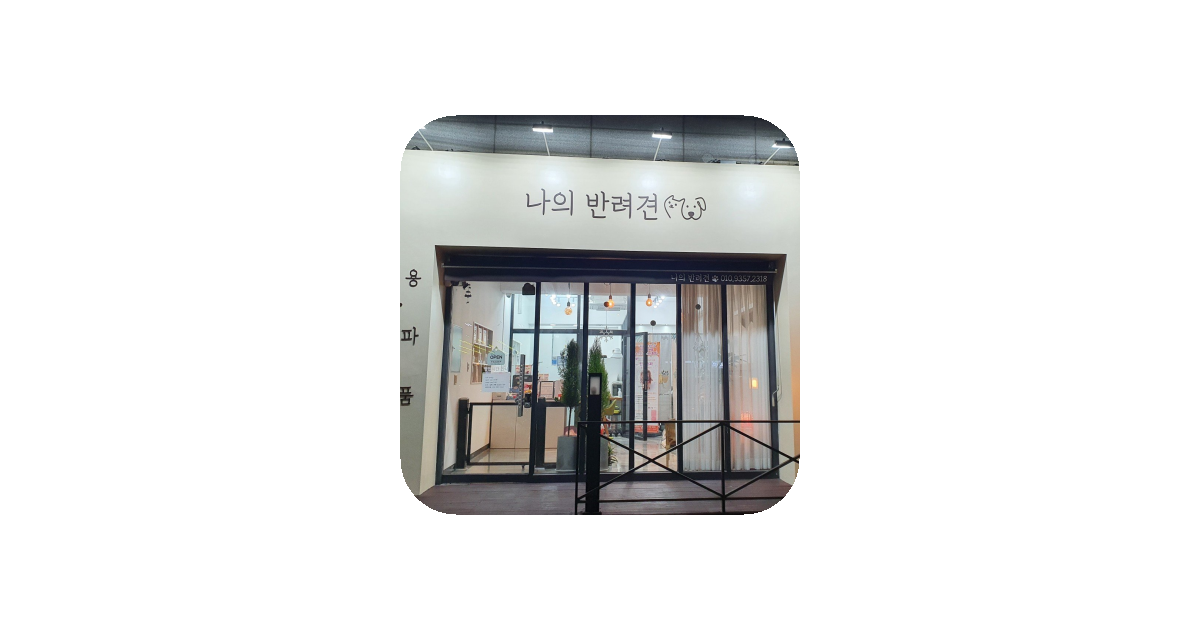 공유 카드